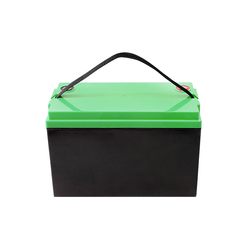 Lifepo cells battery pack 12.8V 100Ah