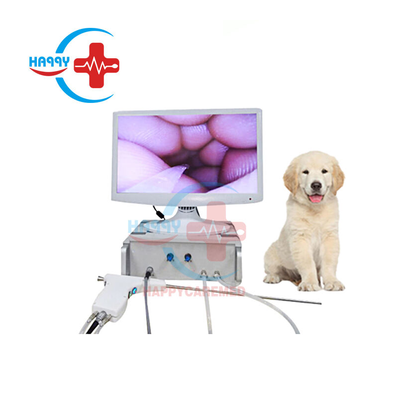 how does dog artificial insemination work