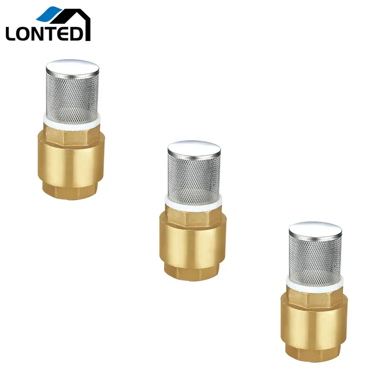 2 inch Spring check valve with filter LTD4002