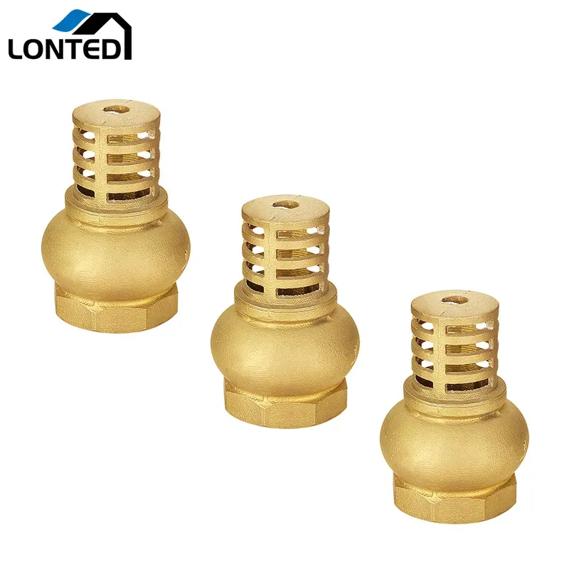 Brass foot valve LTD4007