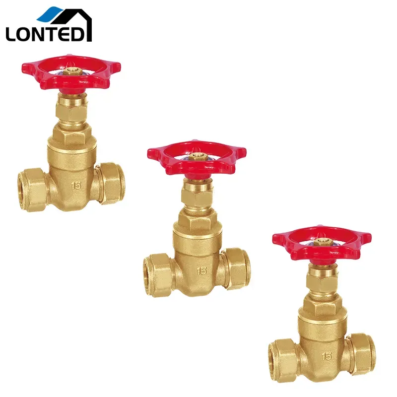 Brass gate valve with pipe connector LTD6103