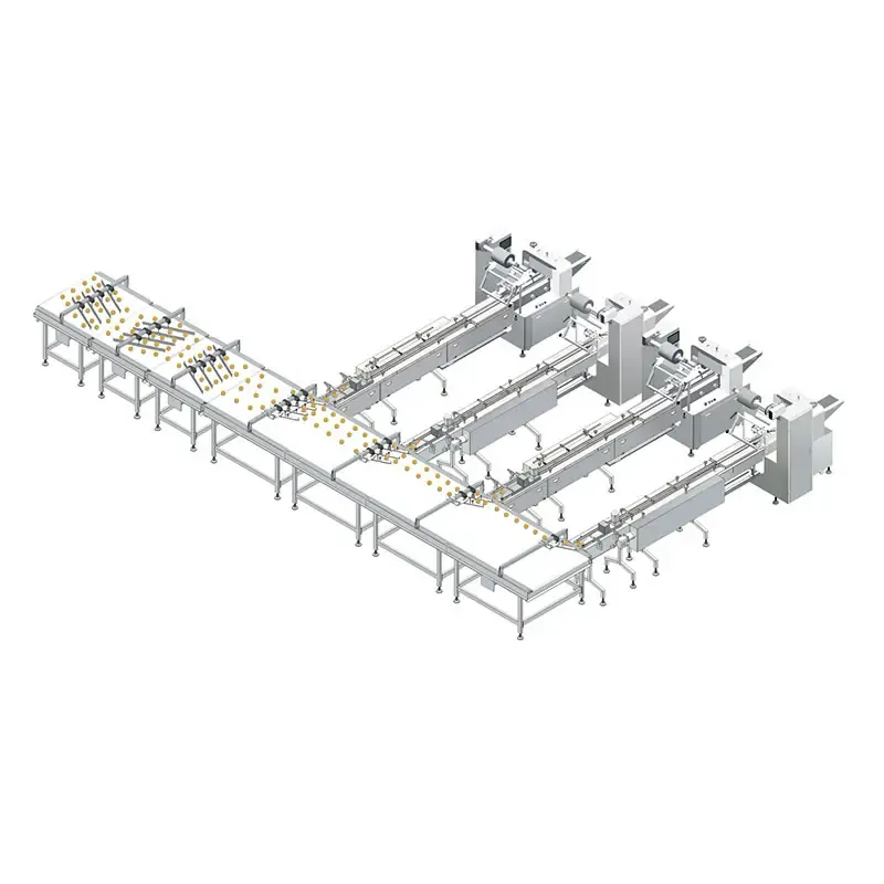 TFD-CF4 Automatic Feeding & Packaging Line