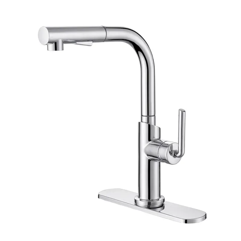 Stainless Steel 304 Pull Out Kitchen Mixer Faucet