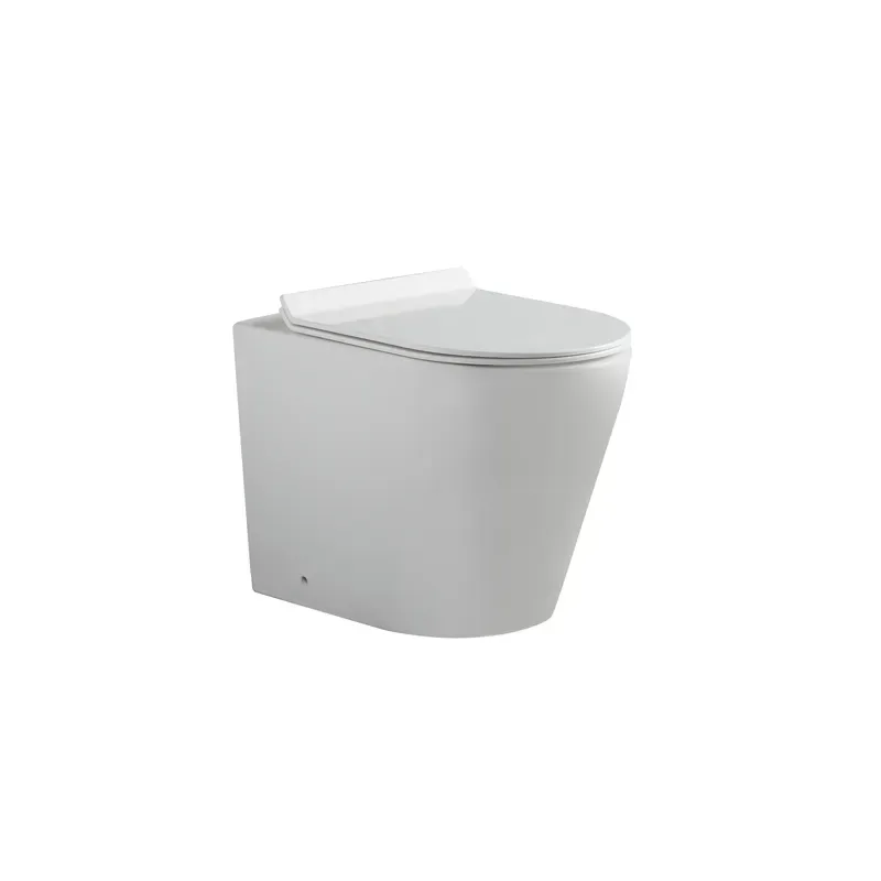Floor Mounted White Toilet With Watermark