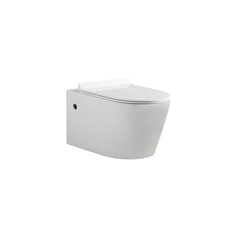 Wall-hung White Ceramic Toilet With Watermark